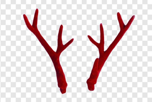 Download #800 Red Reindeer Antlers Isolated - Reindeer antlers Collection